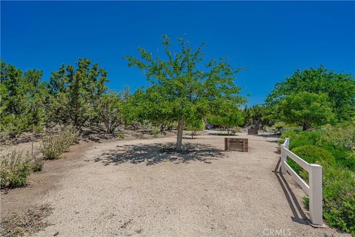 6367 Valley Sage, Acton, California 93510