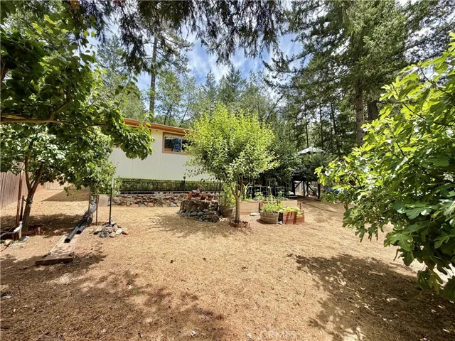 11783 Western Pine Road, Loch Lomond, California 95461