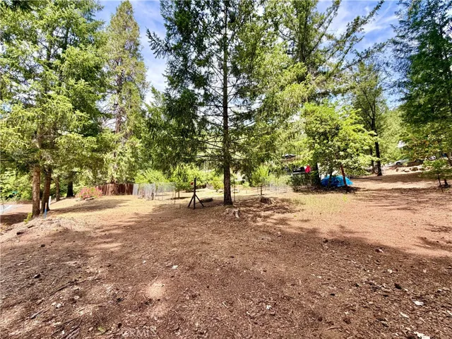 11783 Western Pine Road, Loch Lomond, California 95461