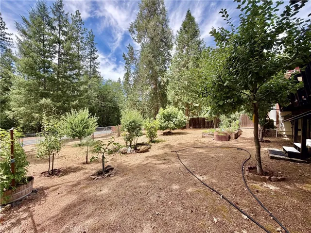 11783 Western Pine Road, Loch Lomond, California 95461