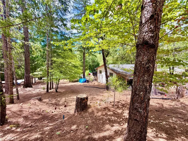 11783 Western Pine Road, Loch Lomond, California 95461