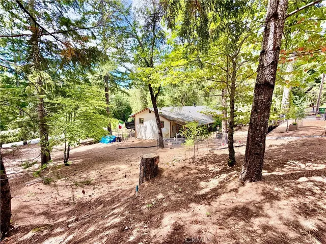 11783 Western Pine Road, Loch Lomond, California 95461