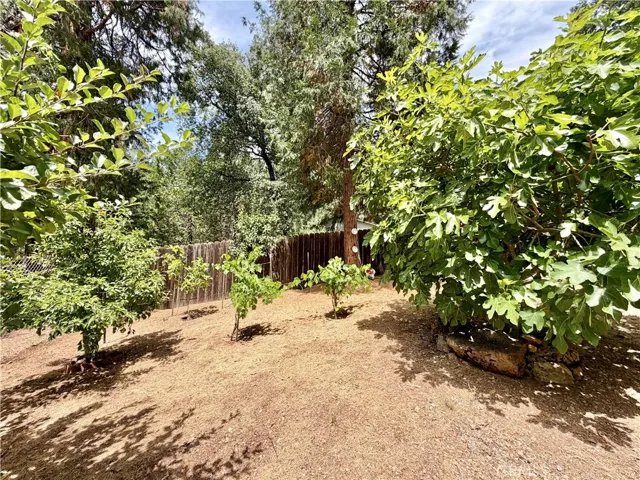 11783 Western Pine Road, Loch Lomond, California 95461