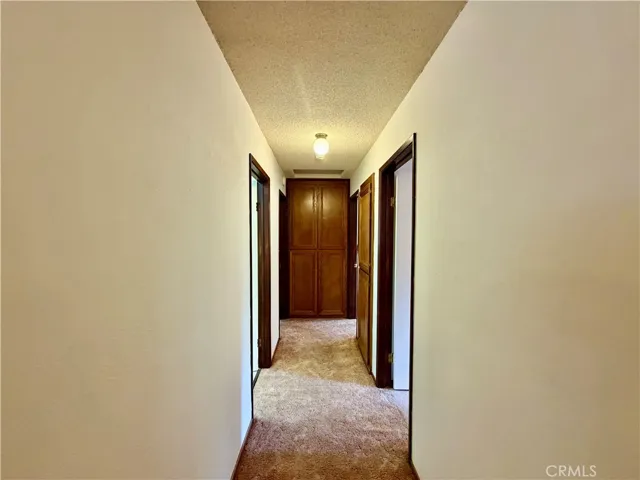 11783 Western Pine Road, Loch Lomond, California 95461