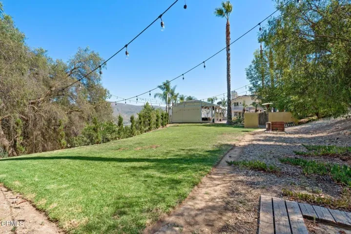 Grassy Area