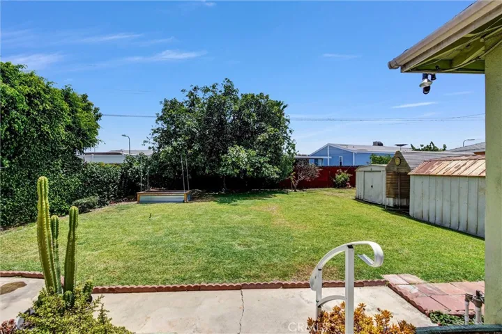 Large Flat Backyard