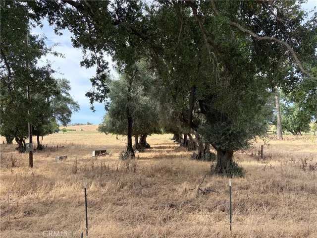 19115 Simpson Road, Corning, California 96021