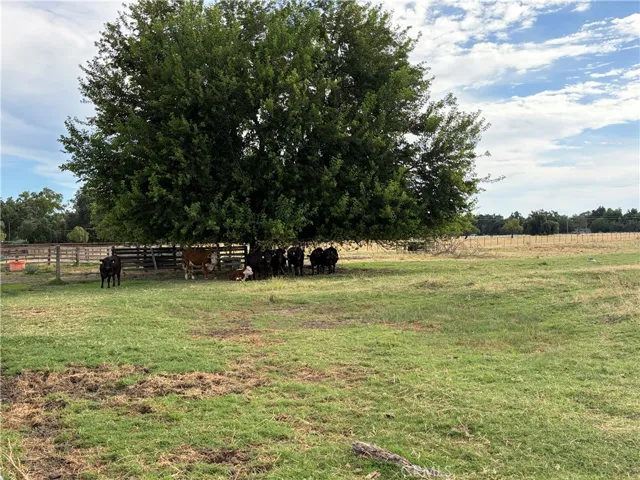 19115 Simpson Road, Corning, California 96021
