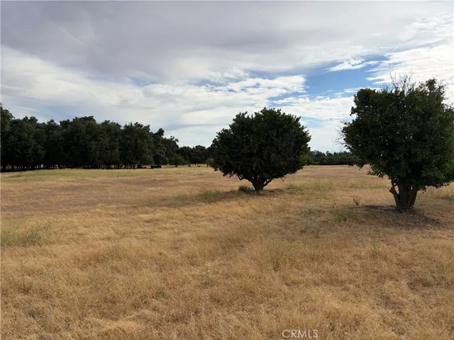 19115 Simpson Road, Corning, California 96021