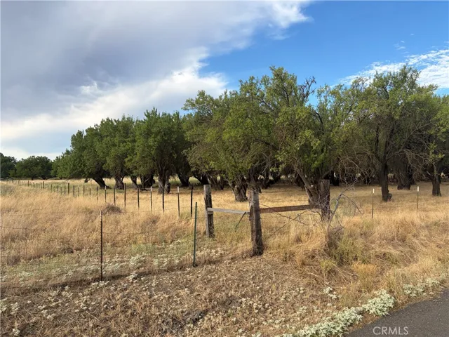19115 Simpson Road, Corning, California 96021