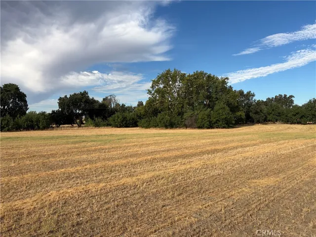 19115 Simpson Road, Corning, California 96021