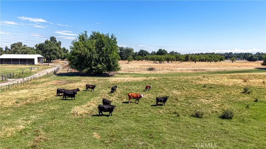 19115 Simpson Road, Corning, California 96021
