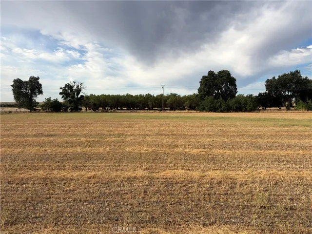 19115 Simpson Road, Corning, California 96021