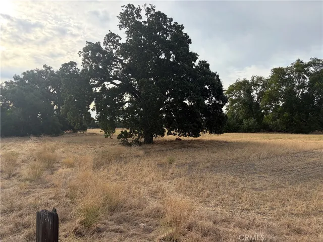 19115 Simpson Road, Corning, California 96021