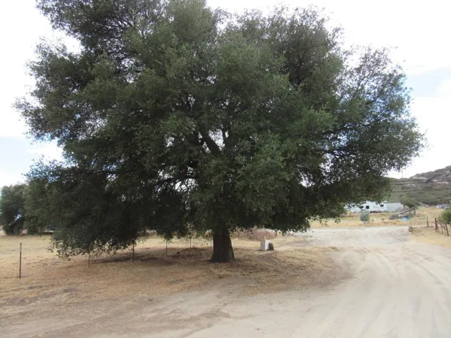 1819 Buckman Springs Road, Campo, California 91906