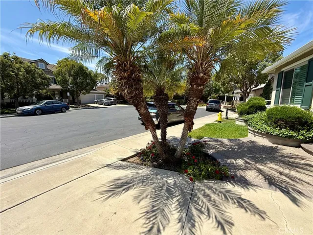 7 Hawk, Irvine, California 92618