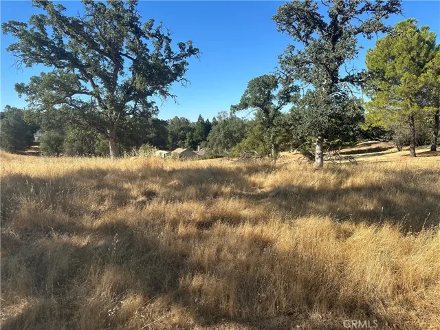 0 Revis Way, Coarsegold, California 93614