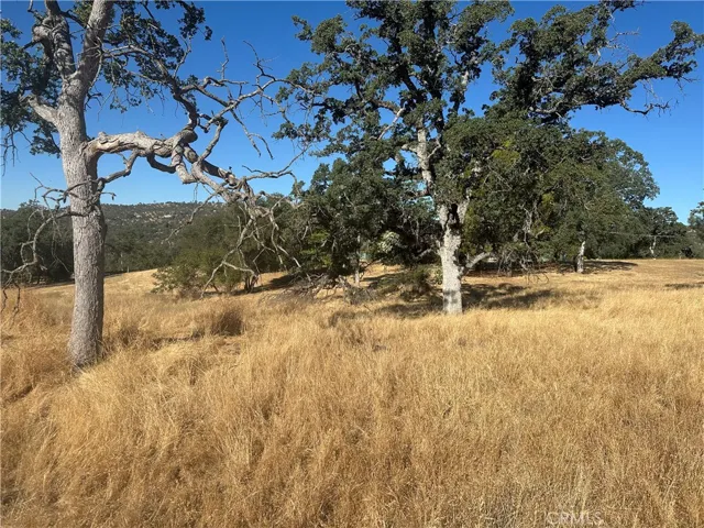 0 Revis Way, Coarsegold, California 93614