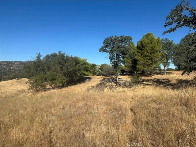 0 Revis Way, Coarsegold, California 93614