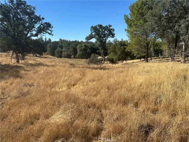 0 Revis Way, Coarsegold, California 93614
