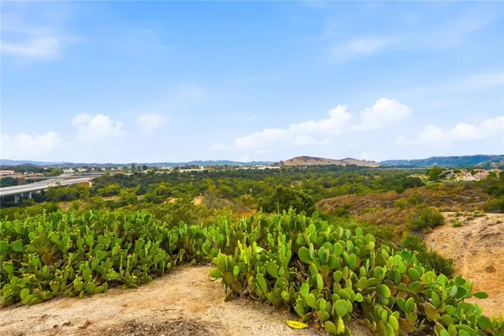 22 Lazurite, Rancho Santa Margarita, California 92688