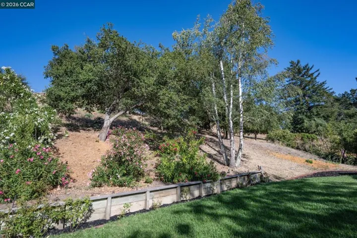 705 Camino Ricardo, Moraga, California 94556
