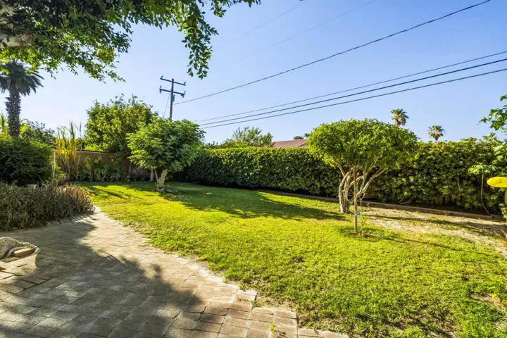 Backyard 2