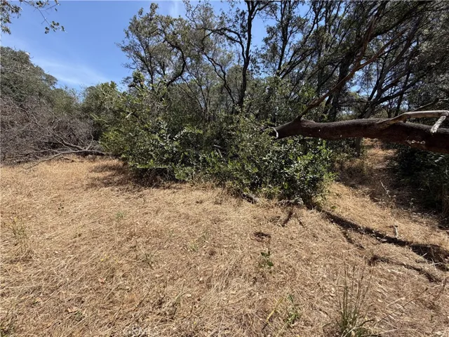 0 Skyline Boulevard, Oroville, California 95966