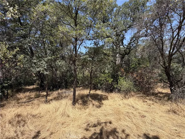 0 Skyline Boulevard, Oroville, California 95966