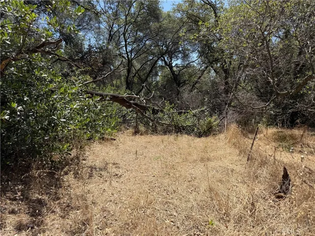 0 Skyline Boulevard, Oroville, California 95966