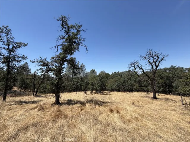 0 Skyline Boulevard, Oroville, California 95966