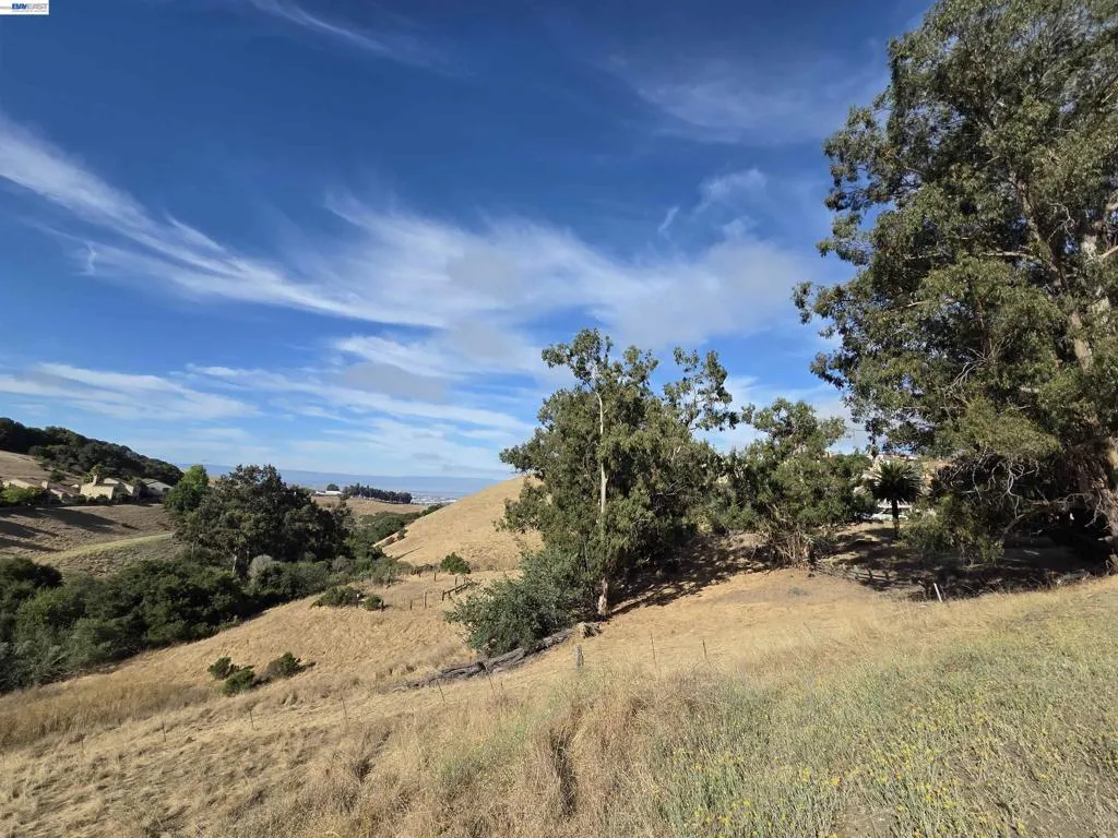 27907 Dobbel Ave, Hayward, California 94542 — photo 4