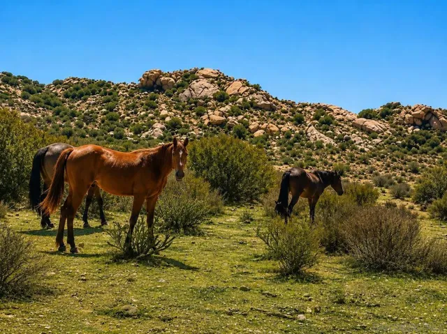 0 Rancho Penasquitos, None, California 99999
