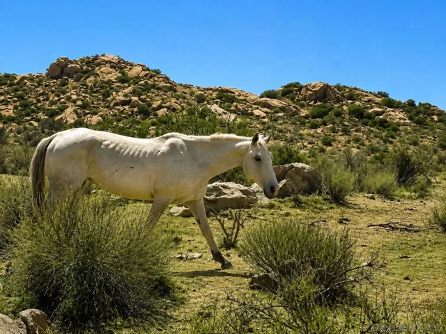 0 Rancho Penasquitos, None, California 99999