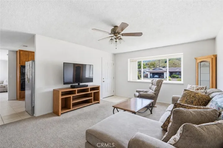 Living Room -Virtually Edited
