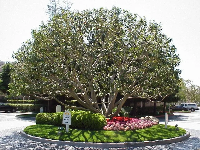 2800 Plaza Del Amo 175, Torrance, California 90503