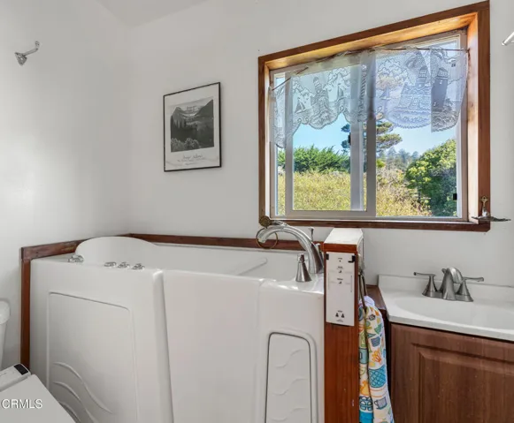 jetted step in bathtub with bidet toilet