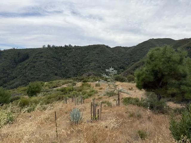 0 Mt Chul, Morgan Hill, California 95037