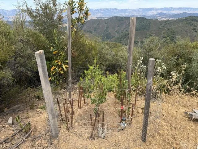 0 Mt Chul, Morgan Hill, California 95037