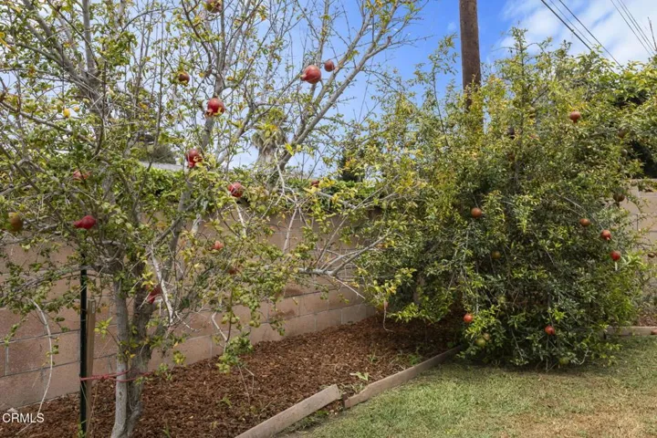 38-web-or-mls-353Prince104