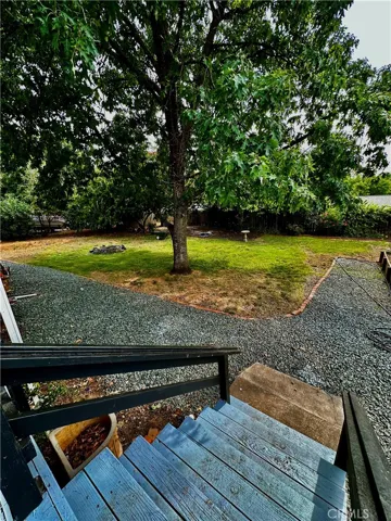 back yard