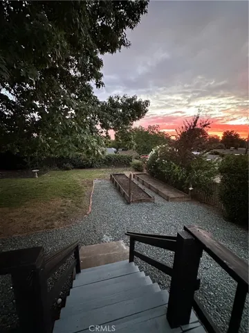 back yard