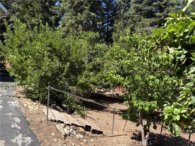 SIDE YARD