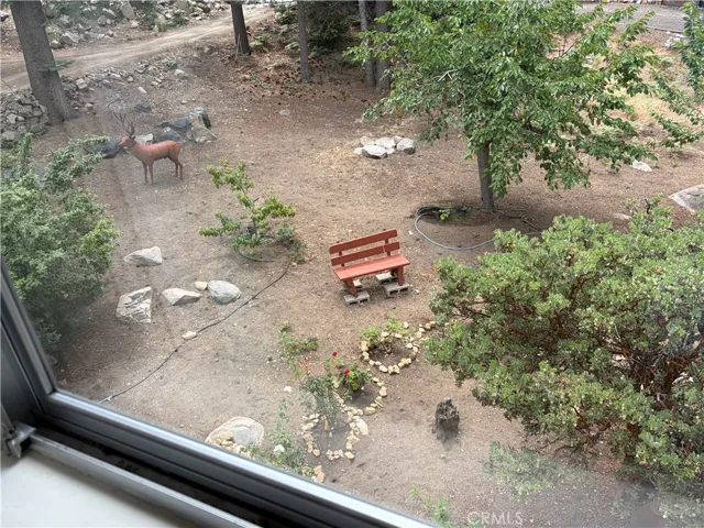 VIEW FROM UPSTAIRS WINDOW