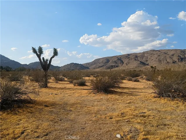 Looking North across property from Cove Road