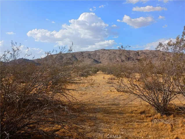 Looking North across property from Cove Road