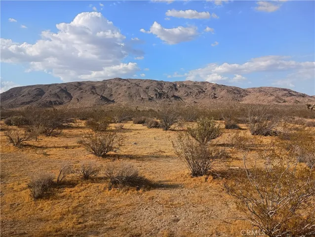 Looking North across property from Cove Road
