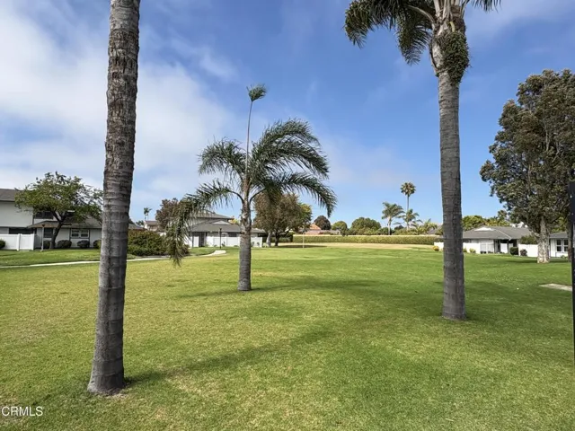 Park Area