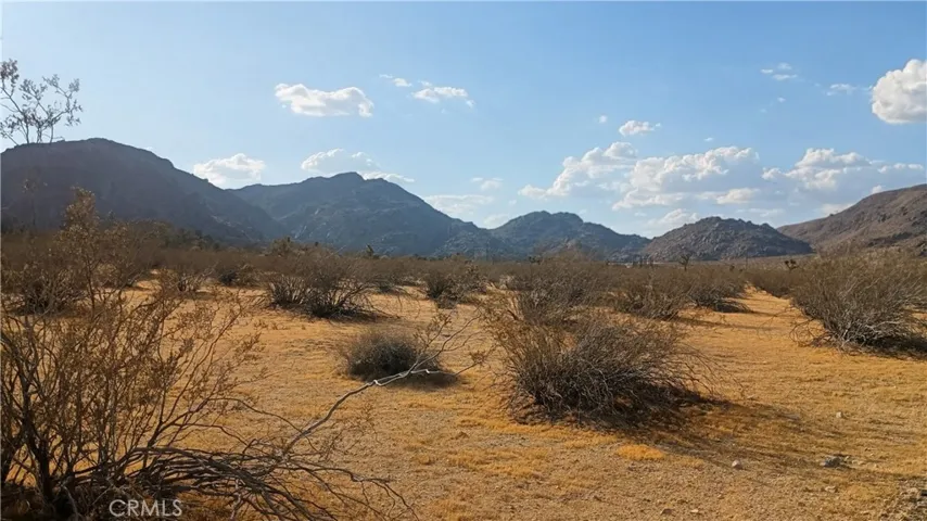 Looking at property, from Pendleton