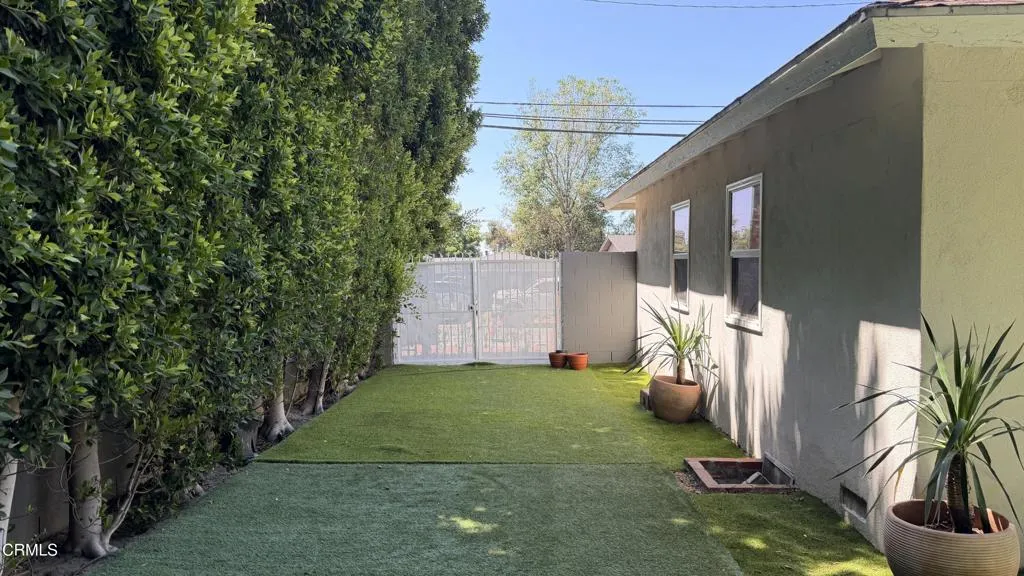 West Side of Backyard